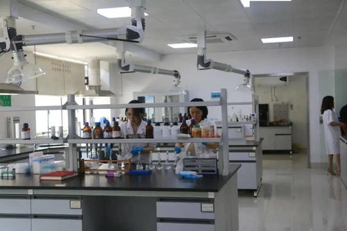 湖南科技宣傳周暨衡陽(yáng)食品藥品檢驗(yàn)檢測(cè)實(shí)驗(yàn)室公眾開(kāi)放日 網(wǎng)絡(luò)技術(shù)服務(wù)助推市民科普體驗(yàn)